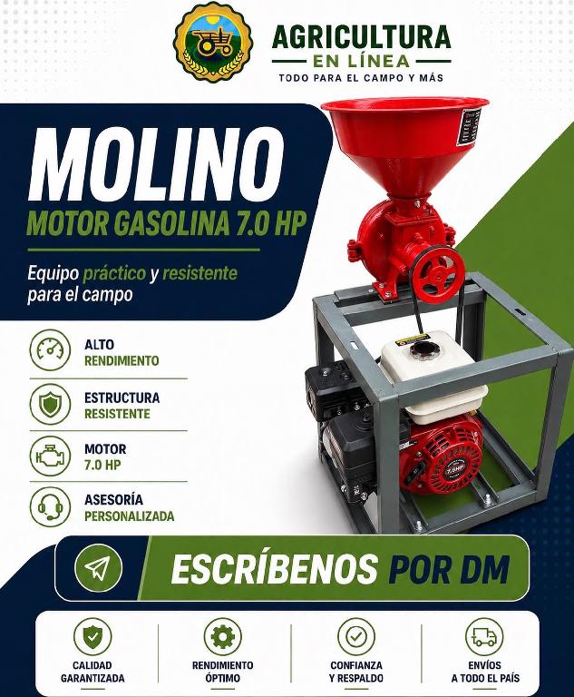 molino con motor 6.5 Foto 7321863-1.jpg