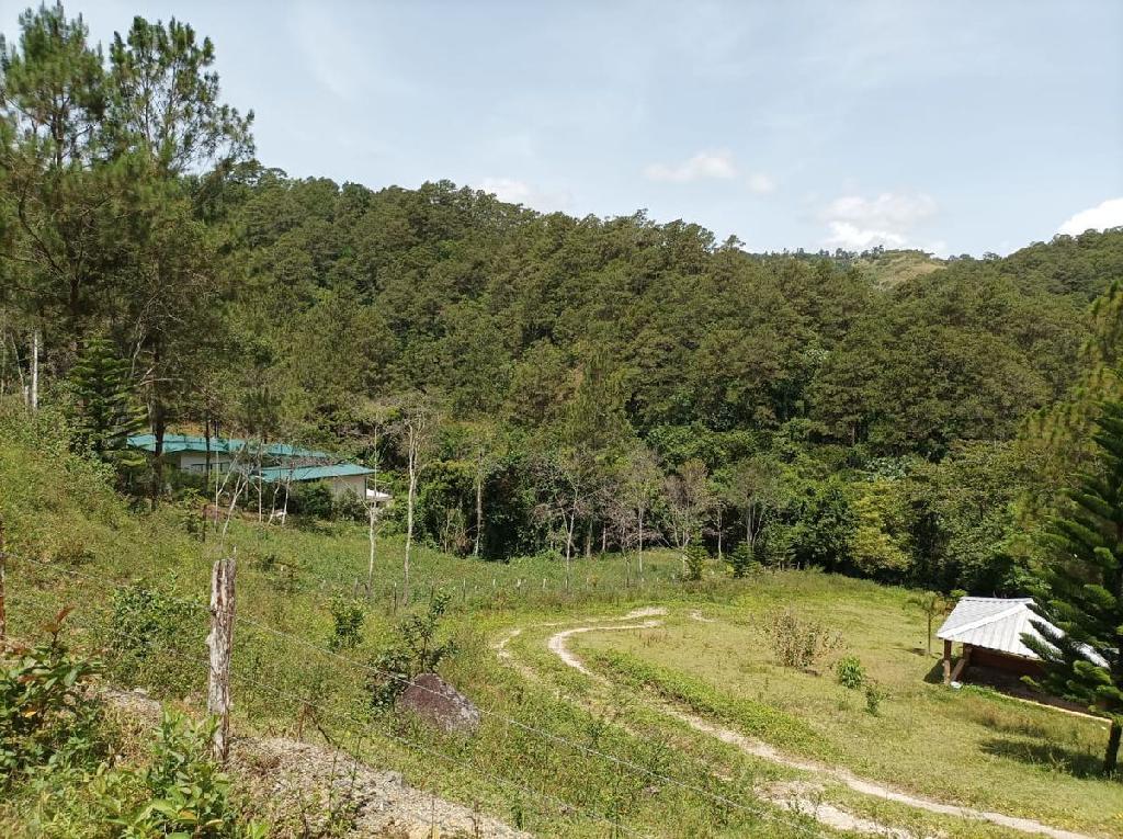 Terreno ideal para construir cabañas o villas Foto 7322072-1.jpg