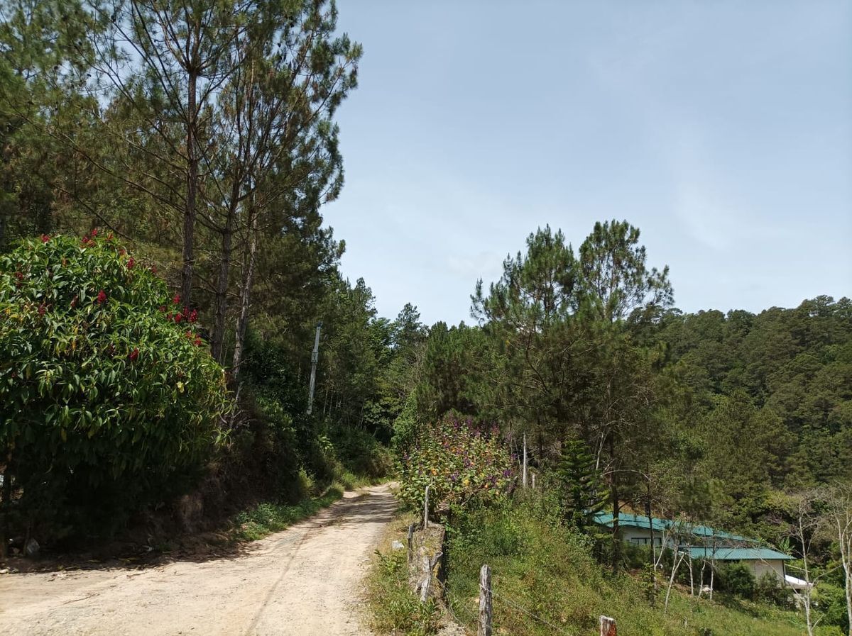 Terreno ideal para construir cabañas o villas Foto 7322072-4.jpg