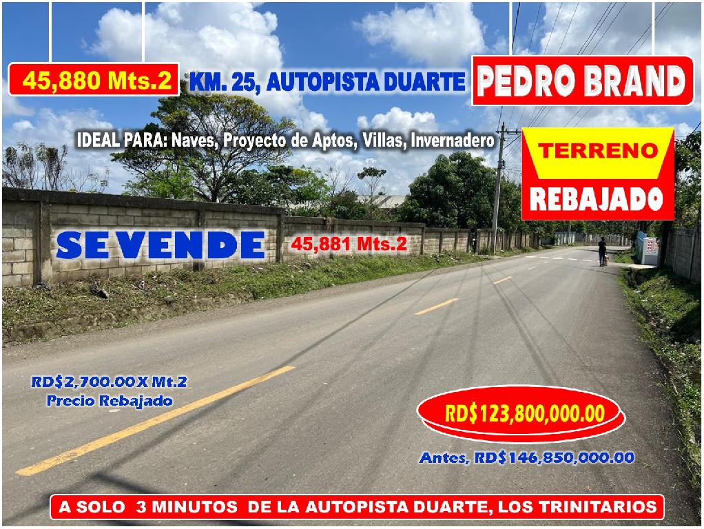 Vendo Terreno para NAVES APTOS en PEDRO BRAND 45881 Mts.2 REBAJADA a 3 Foto 7322109-1.jpg