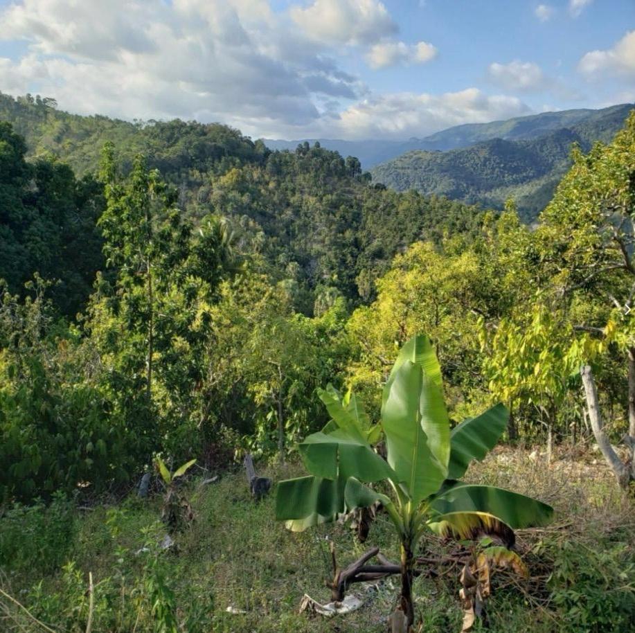 Vendo Finca de AGUACATE en Paraíso BARAHONA 255600 Mts.2 VISTA AL MAR  Foto 7322553-8.jpg