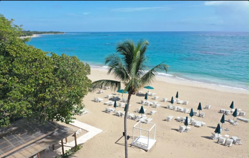 PROYECTO DE APARTAMENTOS EN VENTA GREEN ONE PLAYA DORADA Foto 7322745-5.jpg