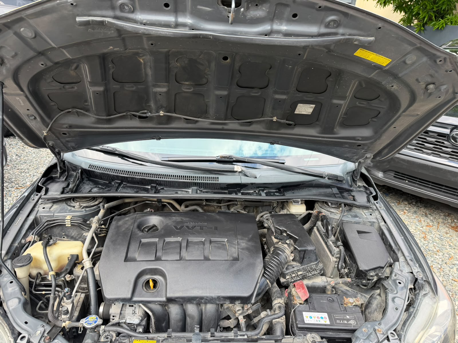 toyota corolla 2011 Foto 7323552-7.jpg