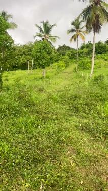 TERRENO EN VENTA  CARRETERA SAMANÁ–LAS GALERAS Foto 7323659-1.jpg