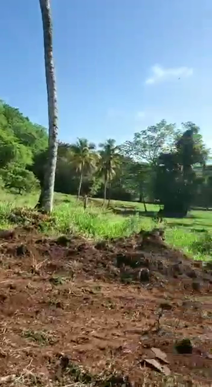 TERRENO EN VENTA  CARRETERA SAMANÁ–LAS GALERAS Foto 7324485-3.jpg