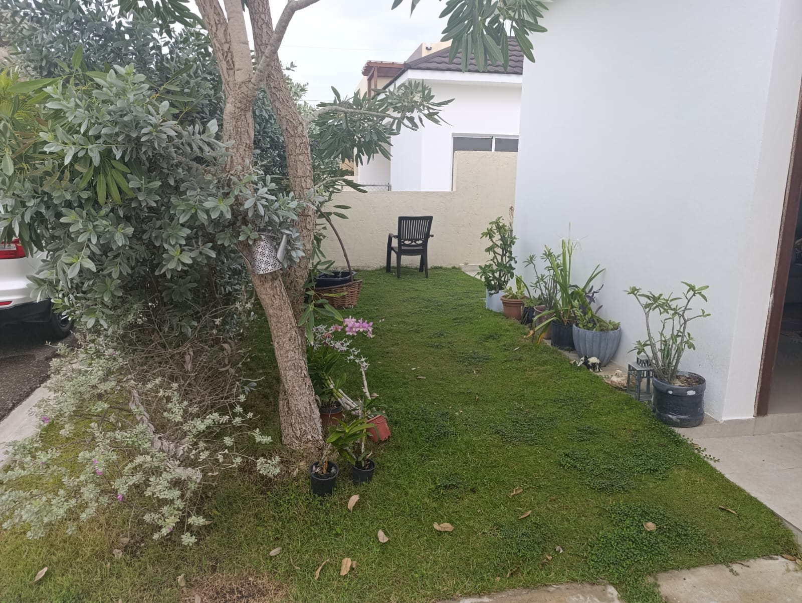 se alquila  renta casa villa  residencial pradera dorada muñoz  puerto Foto 7324648-7.jpg