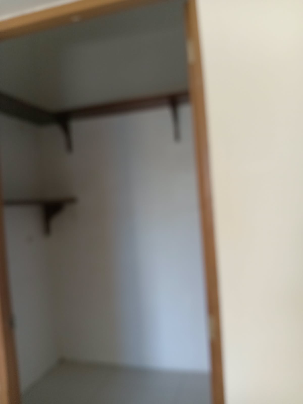 Apartamento en alquiles de 2 hab  en la Ave. los beisbolistas Foto 7324968-6.jpg