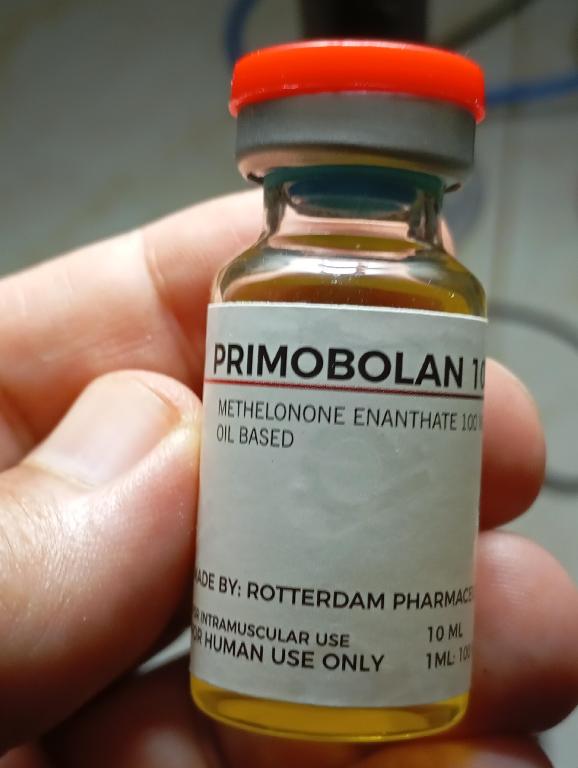 Primobolan rotterdam  Foto 7325087-1.jpg