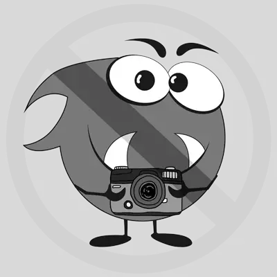 Pichones de ganso.  Africano Foto fotodefecton.png